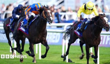Scandinavia wins the St Leger