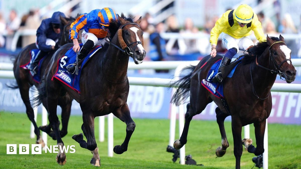 Scandinavia wins the St Leger