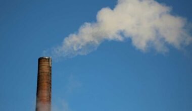 EU Carbon Credit Integration: What It Means for India’s Climate and Trade Future