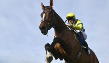 Weveallbeencaught can repeat Munster magic for Eric McNamara