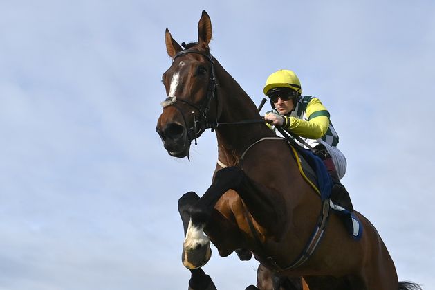 Weveallbeencaught can repeat Munster magic for Eric McNamara
