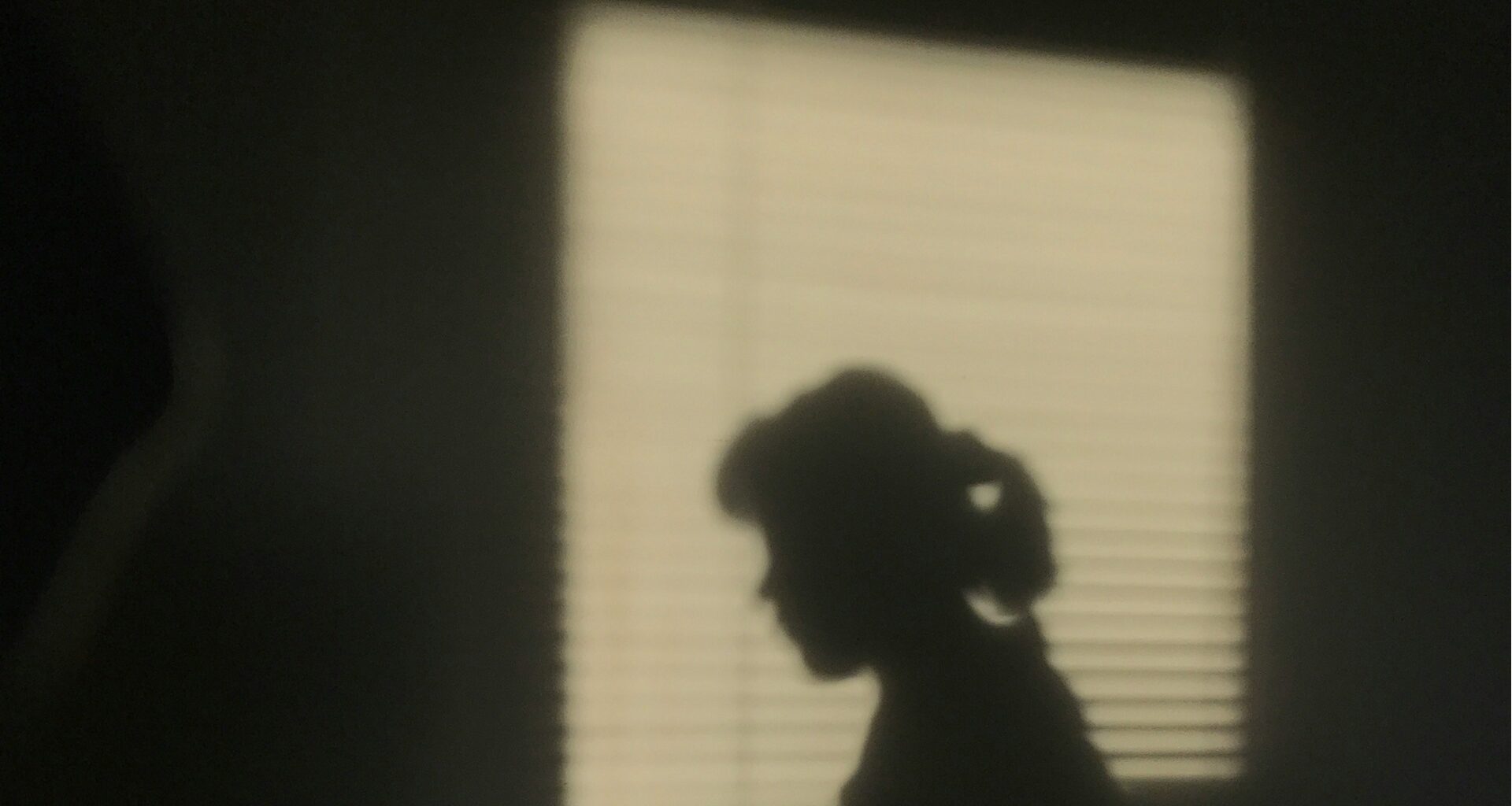 the shadow of a young girl