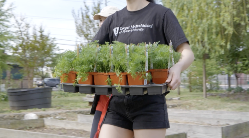 Cooper Medical School student works on the Cooper Sprouts Community Garden