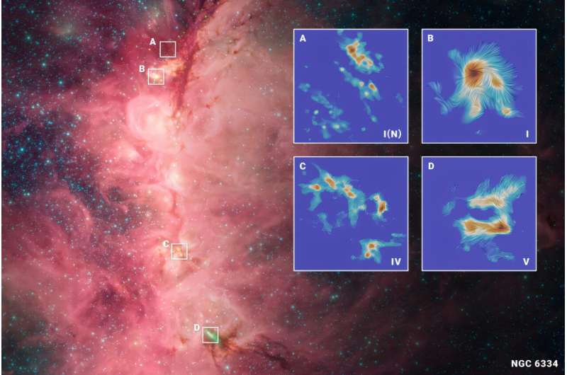 Cosmic tug-of-war: Gravity reshapes magnetic fields in star clusters