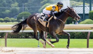 Big Saturday Ahead for Griffin Johnson’s New Horses