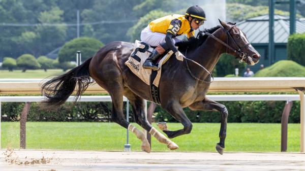 Big Saturday Ahead for Griffin Johnson’s New Horses