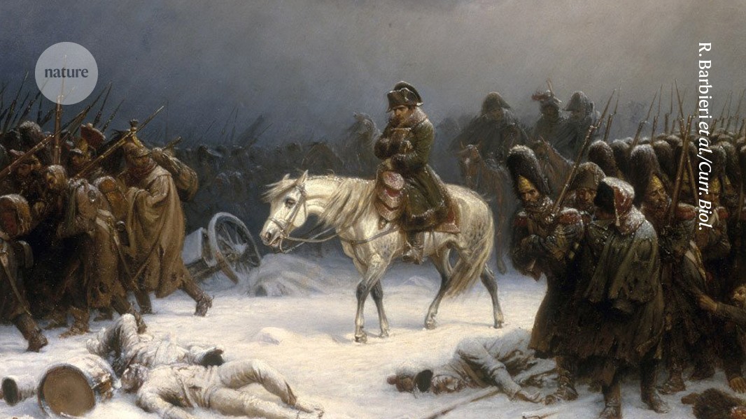 How Napoleon’s army met its doom: DNA reveals surprise illnesses had a role - Nature