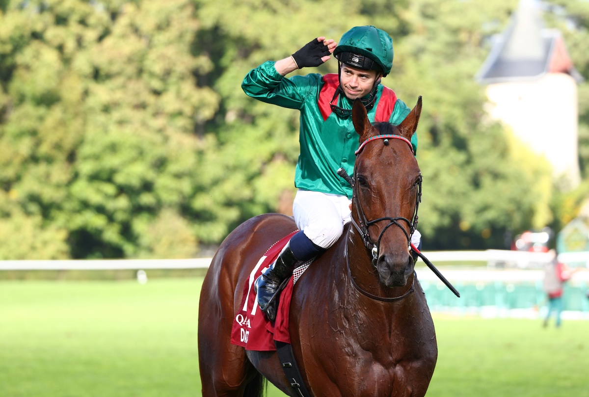 Winning partnership: Daryz and jockey Mickael Barzalona. Photo: Dan Abraham / focusonracing.com