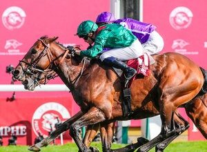 Arc angel: Daryz rockets up rankings in Europe’s richest race with emotional success in Aga Khan silks | Topics: Prix de l'Arc de Triomphe, Prix de l’Abbaye, Minnie Hauk, Mickael Barzalona, Aga Khan, Aga Khan Studs, TRC Global Rankings, Asfoora, Fallen Angel, Via Sistina, Ned Toffey, Francis Graffard, Forever Young, Daryz, ParisLongchamp, Sir Delius, Longchamp