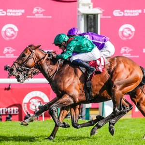 Arc angel: Daryz rockets up rankings in Europe’s richest race with emotional success in Aga Khan silks | Topics: Prix de l'Arc de Triomphe, Prix de l’Abbaye, Minnie Hauk, Mickael Barzalona, Aga Khan, Aga Khan Studs, TRC Global Rankings, Asfoora, Fallen Angel, Via Sistina, Ned Toffey, Francis Graffard, Forever Young, Daryz, ParisLongchamp, Sir Delius, Longchamp