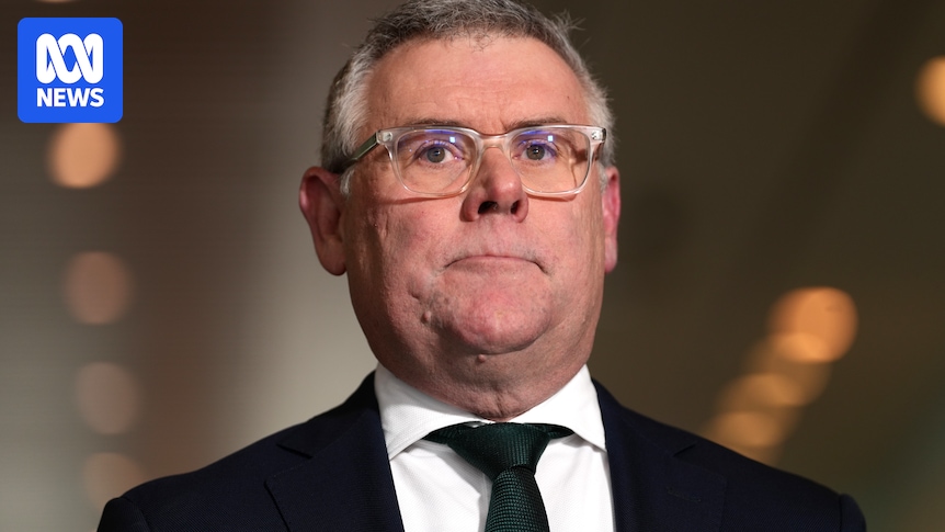 Murray Watt nears deal with Coalition to finally overhaul environment laws
