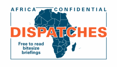 Africa on track to profit from EU’s minerals interest | Article