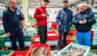 Many Vietnamese businesses unaware of EU supply chain due diligence regulations