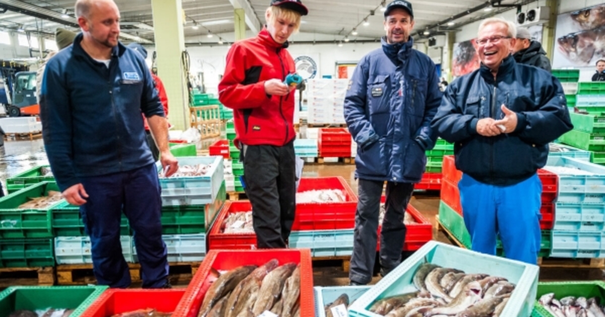 Many Vietnamese businesses unaware of EU supply chain due diligence regulations