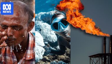 Modelling shows gas project emissions will cause hundreds of heat-related deaths