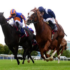 Economics heads strong entry for $1m Bahrain International Trophy | Topics: Sakhir, Isle Of Jura, Bahrain International Trophy, REHC, Bahrain Turf Club, Bahrain