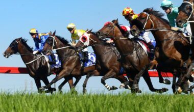 Trainers left frustrated after Kembla debacle