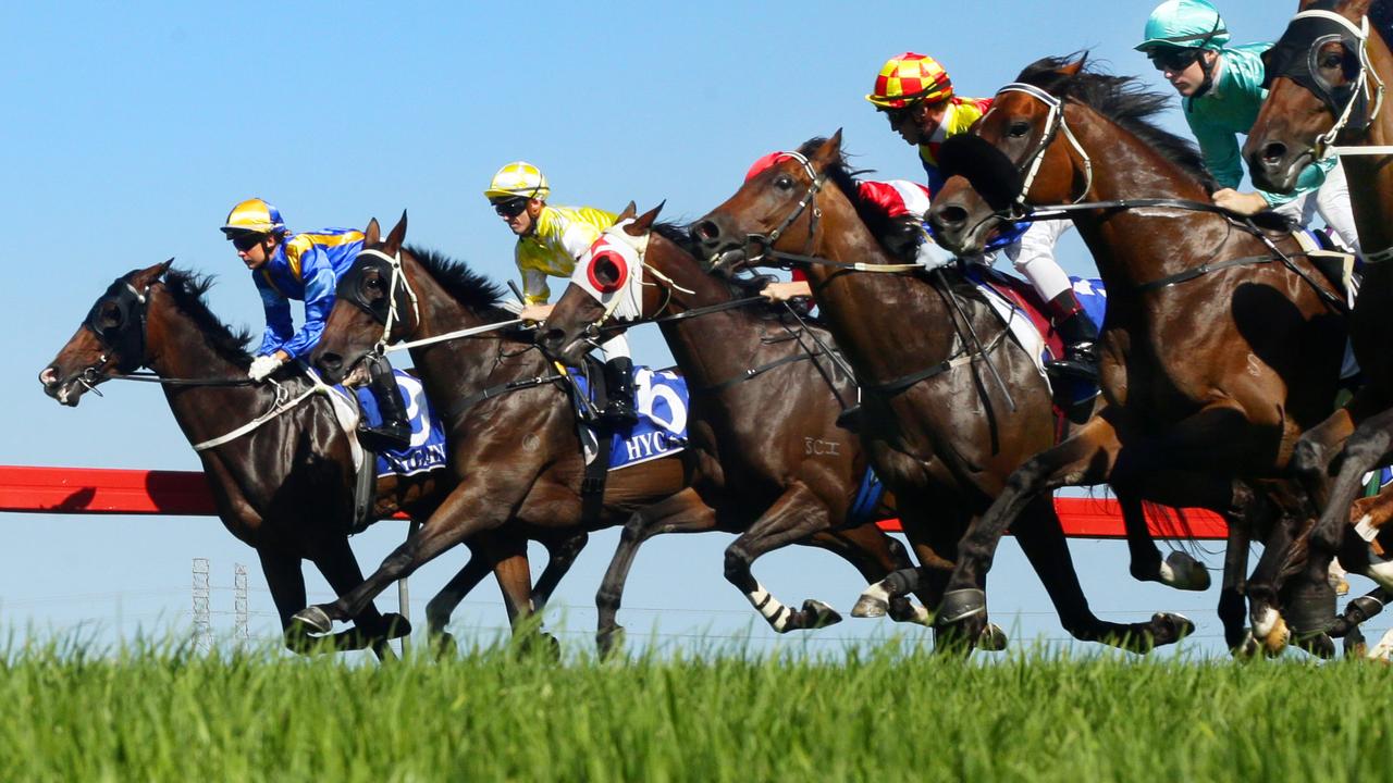 Trainers left frustrated after Kembla debacle