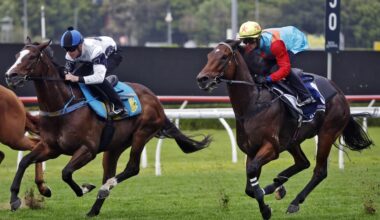 Ka Ying Rising trials in Sydney, reaction video, odds, David Hayes on trial at Randwick, when is The Everest? news, analysis