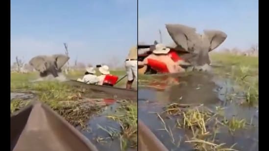 A former South African game ranger called the woman’s survival “incredibly lucky.”(Facebook/Namushanawa Nyambe)