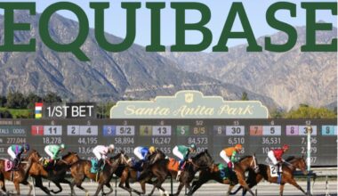 Equibase Launches New TB Horse Rating