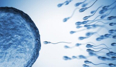 Sperm From Older Men Have More Genetic Mutations
