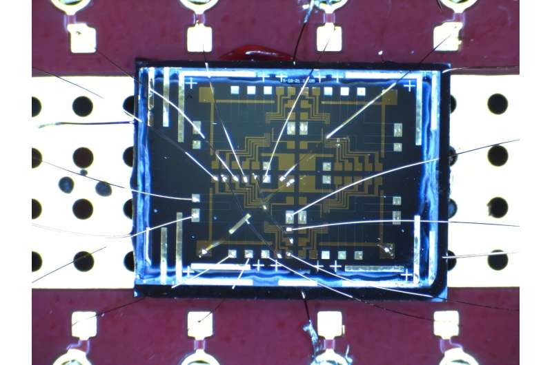 Image showing the actual device measured in the experiment. The GaAs chip is mounted on a PCB board for mounting in the dilution refrigerator. The gold wires make electrical contacts to the device. Credit: Guerrero-Suarez et al. Evidence of universal anyon tunnelling in a chiral Luttinger liquid