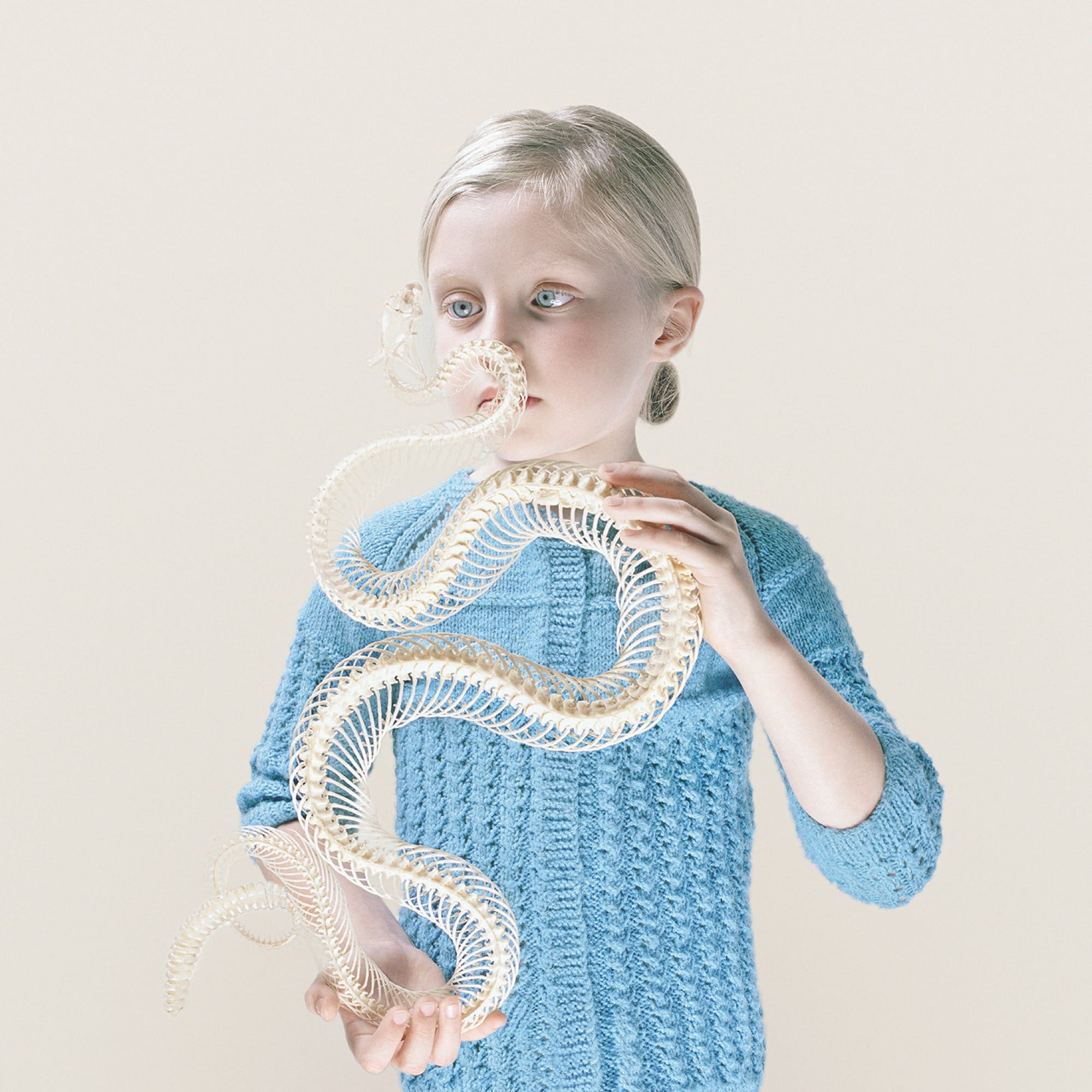 a photo by Petrina Hicks of a young girl wearing a blue shirt, holding the skeleton of a rattlesnake