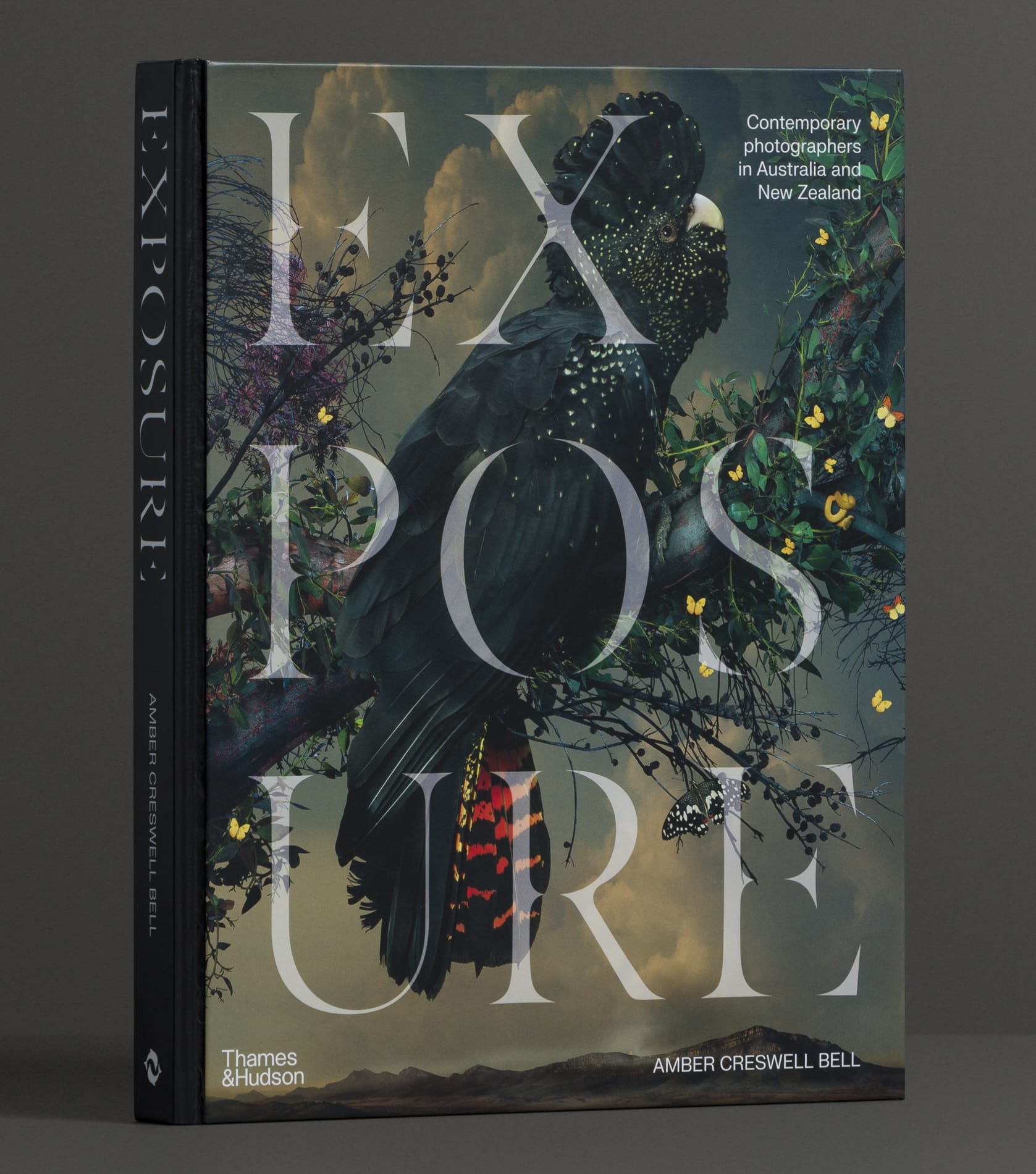 the cover of the book 'Exposure'