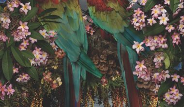 a photo by Joseph McGlennon of two parrots amid pink flowers
