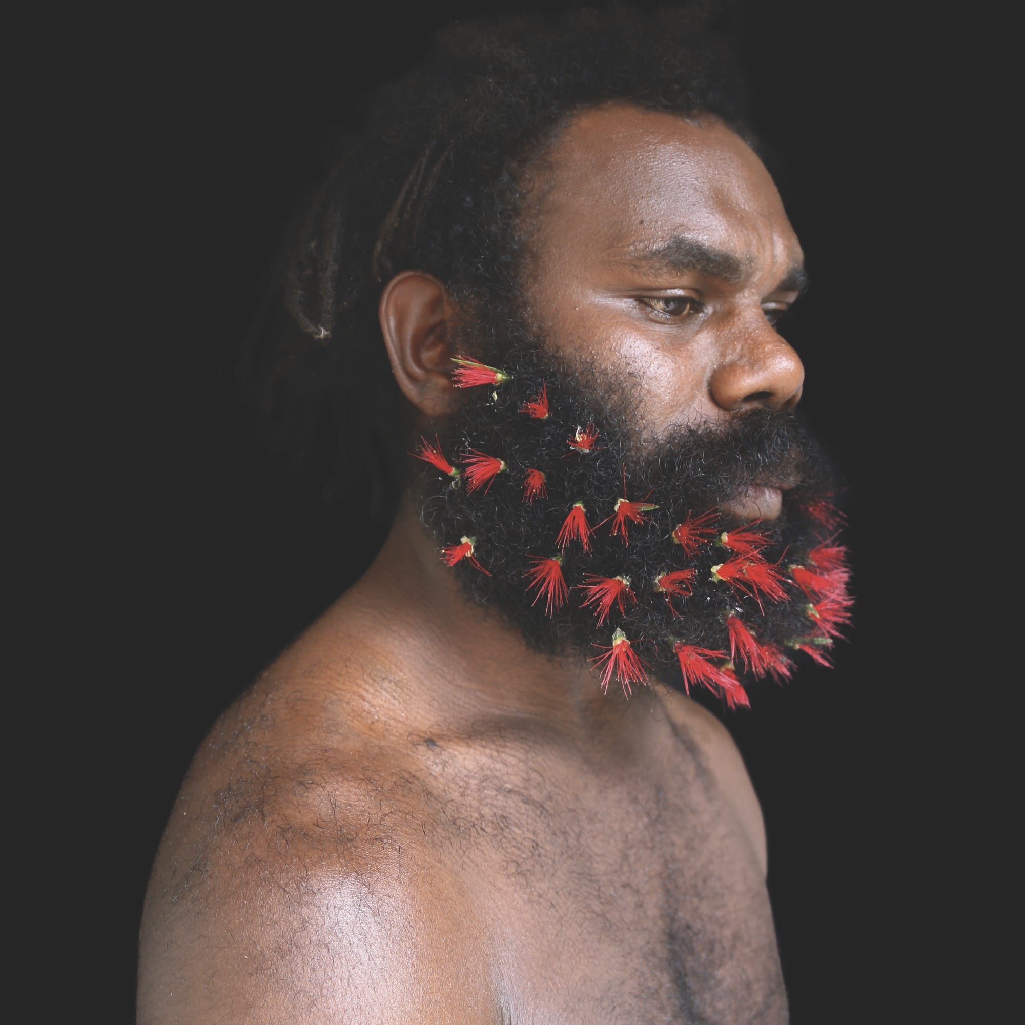 a photo by Naomi Hobson of an Aboriginal man with small red darts in his beard
