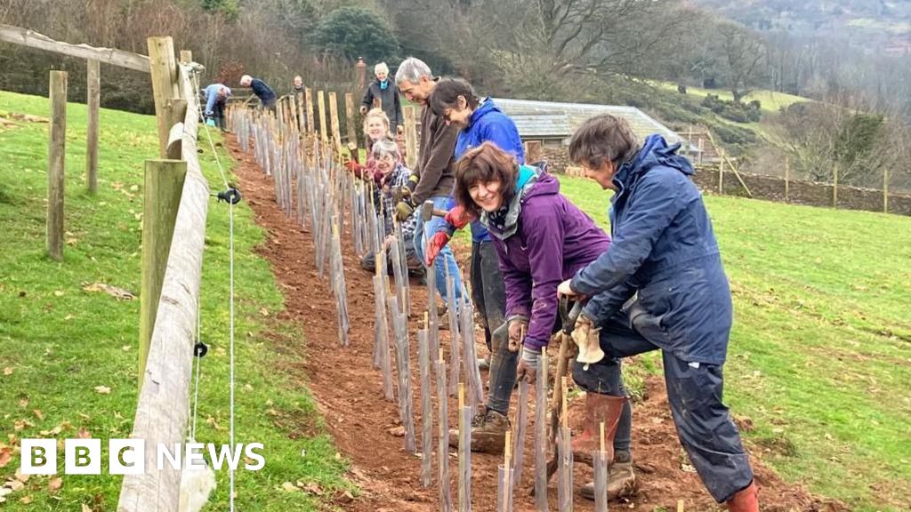 Flood prevention tree planting scheme looking for volunteers