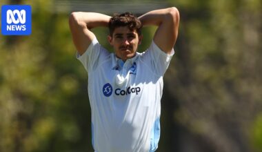 NSW bowler Sean Abbott subbed out of Sheffield Shield game after splitting webbing on hand