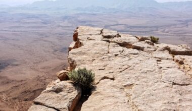 US economy is already on the edge – a prolonged government shutdown could send it tumbling over
