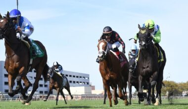 Final Accord up in time in G3 Matron