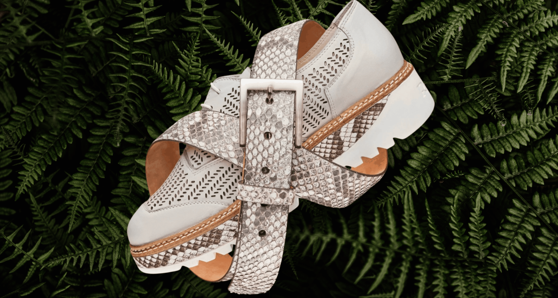 Florida Is Attacking Its Python Problem With Snake Leather Shoes