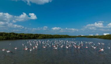Ajman Tourism launches promotional roadshow in France