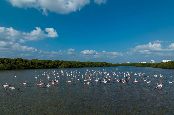 Ajman Tourism launches promotional roadshow in France