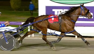 Late change aids Franco Sheriff