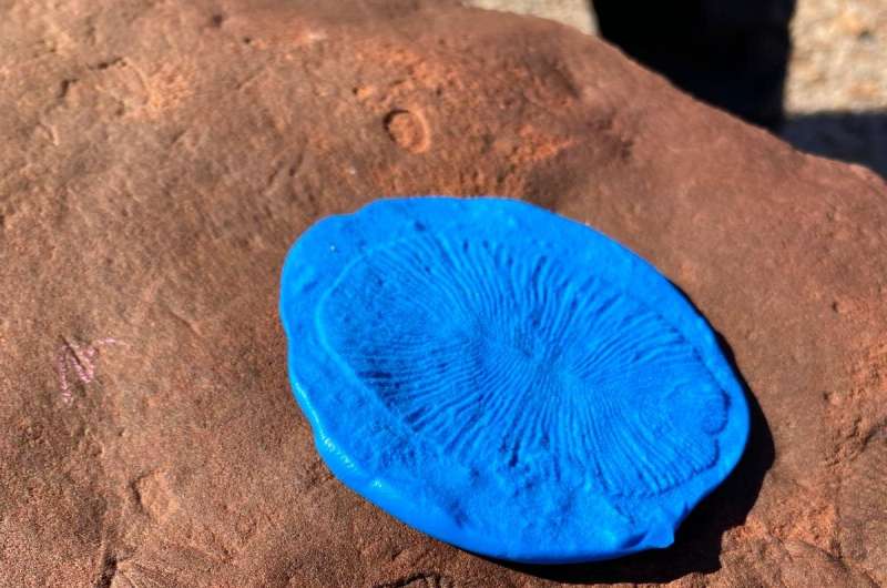 Fungi set the stage for life on land hundreds of millions of years earlier than thought