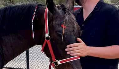 Memorial races in Charlton - The Weekly Advertiser