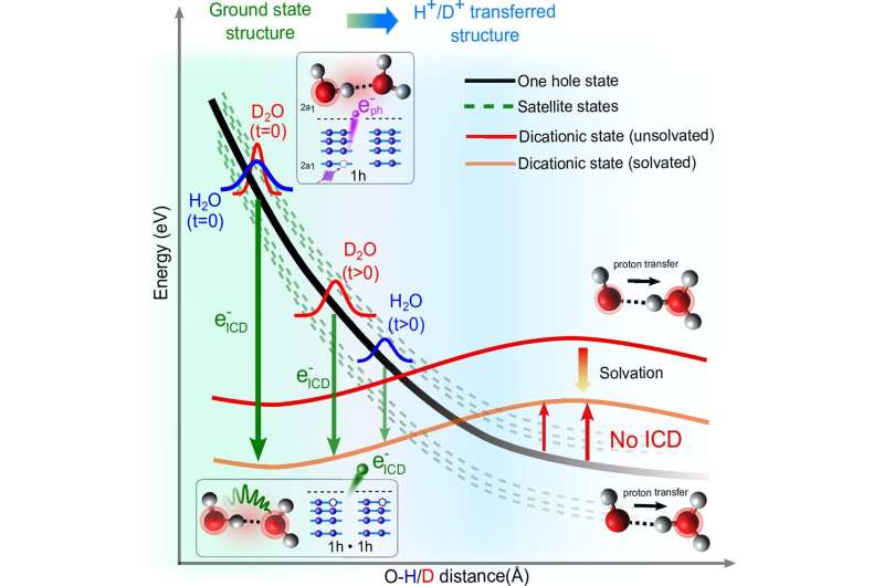 Generation of Harmful Slow Electrons in Water is a Race Between Intermolecular Energy Decay and Proton Transfer