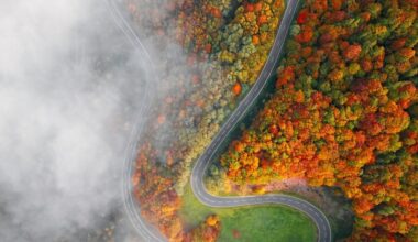 New incentives as German new-car market makes comeback