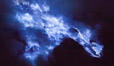 A Hole in the Bottom of the Ocean