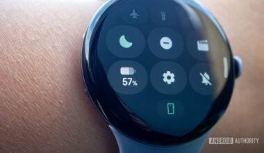 google pixel watch 3 face patrol