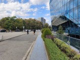 50MP photos: Main camera - f/1.6, ISO 50, 1/2570s - Xiaomi 15T Pro review