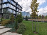 Main camera daylight photos - f/1.6, ISO 50, 1/413s - Xiaomi 15T Pro review