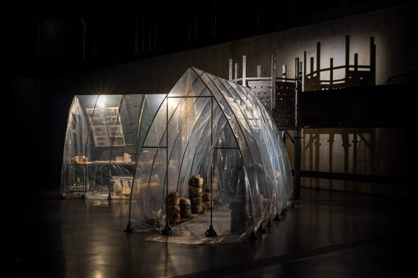a photograph of an art installation