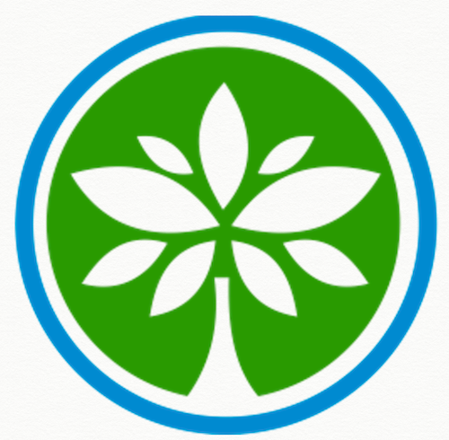 Apply for Black Entrepreneurship Program Ecosystem Fund – Canada - fundsforNGOs