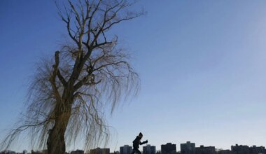 Cleanest air quality 2025: World's top 10 cities with best air quality index - WION